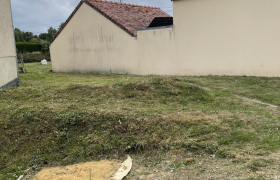Élagueur à Flers